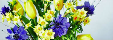 Waitrose flowers and plants online. Florist By Waitrose Partners Discount Codes Promo Codes September 2021