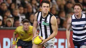 Find gifs with the latest and newest hashtags! Afl News 2020 Darcy Moore In No Rush To Re Sign With Collingwood As Richmond Circle Nt News