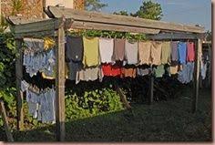 Pin On Garten