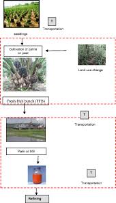 Soil soil biology soil composition soil conservation structure. Carbon Footprint Of Oil Palm Planted On Peat In Malaysia Springerlink