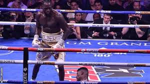 Deontay Wilder calls himself hardest-hitting puncher in boxing ...