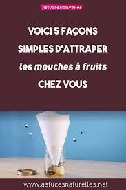 Voici 5 Facons Simples D Attraper Les Mouches A Fruits Chez Vous Cleaning Hacks Tips Home Decor