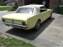 Image result for Sunlight Yellow 1964 Mustang