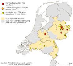 Maar wilt u wereldwijd zien hoe de corona besmetting zicht voorzet? Verspreiding Van Tekenencefalitisvirus In Nederland Rivm