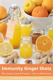 Immunity Booster Shots Healthy Ginger Shots Recipe Recipe In 2020 Ginger Shot Recipe Ginger Shot Shot Recipes