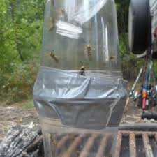 When wasps make a nest too close to home, they can pose a danger to people and household pets. How To Make A Homemade Wasp Trap Creative Homemaking