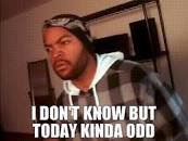 Image result for but today isn't that day meme