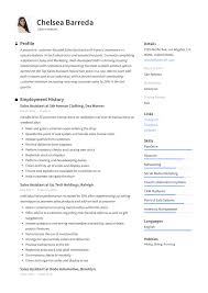 Sales Assistant Resume Writing Guide Resumeviking Com