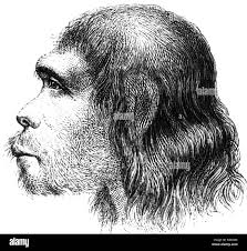 Neanderthal Man High Resolution Stock Photography and Images - Alamy