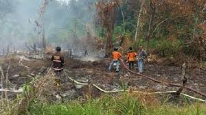 Kondii darurat kabut asap juni. Tersangka Kebakaran Hutan Di Kalimantan Barat Jadi 30 Orang News Liputan6 Com
