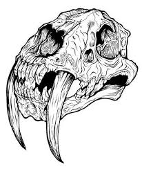 Check spelling or type a new query. Sabertooth Tiger Schadel Foto Von Roger Trivinos Photobucket Animal Skull Tattoos Tiger Skull Skulls Drawing