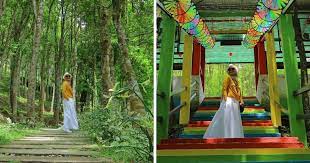 Upload, livestream, and create your own videos, all in hd. Gadis Ini Kongsi Itinerari Lokasi Menarik Jika Korang Buat Trip Ke Ipoh Cameron Highland Remaja