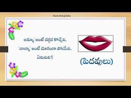 Podupu Kathalu And Chikumudulu Telugu Riddles ప డ ప కథల Riddles Riddles With Answers Jokes And Riddles