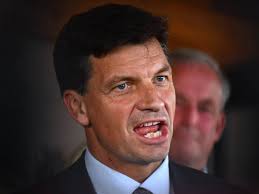 fay wise (@faywise15169611)