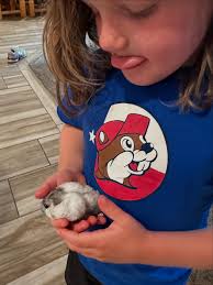 Darcy Stephens (@doodle_bug_) • Instagram photos and videos