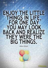 Enjoying the small things in life. Enjoy The Little Things In Life Quotes Quotesgram