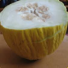 Stream lovely by billie eilish from desktop or your mobile device. Casaba Melon Seeds Golden Melons Everwilde Farms