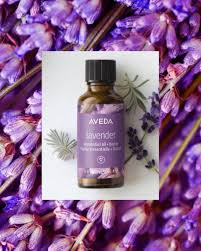 Discover aveda's best natural hair and scalp oils. 5 Natural Ingredients To Boost Your Aveda Shampoo Or Hair Care Routine Mary Ann Weeks Aveda