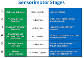 Piaget Theories Of Development Baby Development Chart