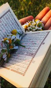 Elf K Adli Kullanicinin My Love Al Qura An Panosundaki Pin Iman Dini Alintilar Islami Sanat