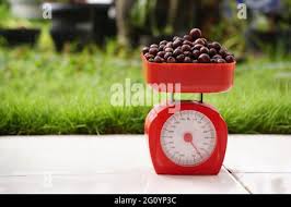 red cherry robusta coffee on a red scale Stock Photo - Alamy