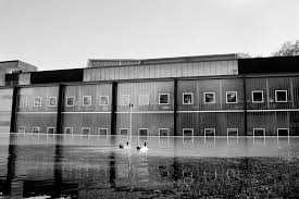 Daily Iowan (Iowa City, Iowa), 2008-06-16