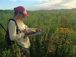 C m of the Cr p C m of the Cr p