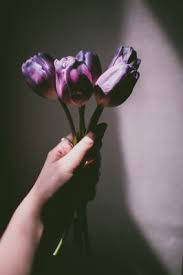 Pin by feby facjrianti on background bunga aesthetic iphone wallpaper aesthetic wallpapers aesthetic backgrounds. Download Bunga Wallpapers And Backgrounds Teahub Io
