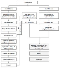 Labeled diagram of muscles in the body, labeled diagram of the muscles of the body, labeled diagram of the muscles of the human body, muscles of the body labeled. Jcm Free Full Text Corticospinal Control Of Human Locomotion As A New Determinant Of Age Related Sarcopenia An Exploratory Study Html