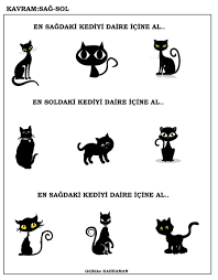 Okul Oncesi Sag Sol Kavrami Okul Okul Oncesi Egitim