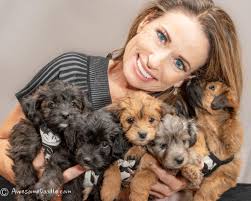 Allyson's Toy Size Aussie Poos in Florida