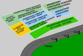 43 Genuine Belmont Stakes Seating Chart