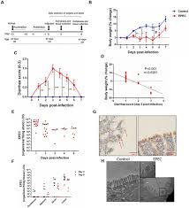 The european ppp expertise centre (epec) is part of the advisory services of the european investment bank (eib). Enteropathogenic Escherichia Coli Epec Infection Induces Diarrhea Intestinal Damage Metabolic Alterations And Increased Intestinal Permeability In A Murine Model Biorxiv