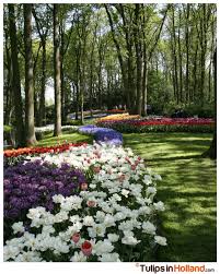 Google Tree Garden Decor Beautiful Gardens Dream Garden
