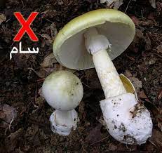 كل يوم، يقوم أهم أصحاب العمل في المنطقة بإضافة آلاف الوظائف الشاغرة على المنصة الحائزة على جوائز عدة. Ø§Ù„ÙØ·Ø± ÙÙŠ Ø§Ù„Ø¬ÙˆÙ„Ø§Ù† ÙƒÙŠÙ Ù†Ù…ÙŠØ² Ø§Ù„Ø¬ÙŠØ¯ Ù…Ù† Ø§Ù„Ø³Ø§Ù… Ø¬ÙˆÙ„Ø§Ù†ÙŠ