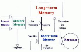 educational psychology interactive the information