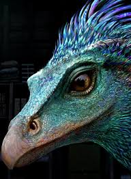 Dragon Occamy Fantastic Beasts Creatures Harry Potter Creatures Fantastic Beasts