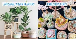 Deliveries can be made all over malaysia, even on the weekends and public holidays. 9 Boutique Plant Shops In Singapore With Aesthetic Plants Accessories To Give Your Hdb Jungalow Vibes