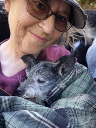 Found in the middle of road downtown Auburn by the city hall.**owner  found**