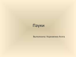 Image result for pokoutnik st job 