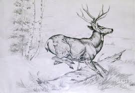Large Game Drawing Getting Away By Dale Jackson Pencil Drawings Of Animals Deer Drawing Deer Sketch