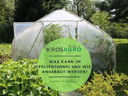 Was Kann Im Folientunnel Und Wie Angebaut Werden Gewachs Folie Gewachshaus