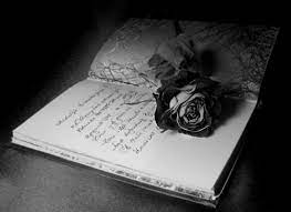 Diary Entry With A Rose Black Rose Color Splash Red Roses