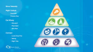 Farkı sloganında saklı olan marka, 'yeni̇ bi̇r sen ! 2 Lessons From The Blue Zones Business Engagement In Building Healthy Communities Workshop Summary The National Academies Press