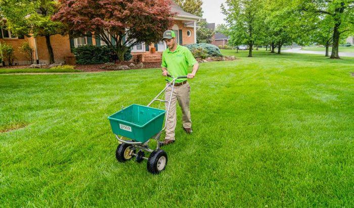 Professional Lawn Care Services