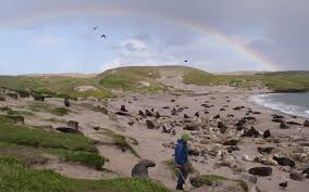 It is inscribed in the unesco world heritage list together with the other new zealand subantarctic islands in the region. Conservation Minister Heads To Auckland Islands Rnz News