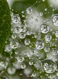 Perlas De Rocio Water Drops Dew Drops Water Art