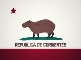 Carpincho se trata de un roedor herbívoro anfibio, cuyo adulto pesa alrededor de 55 kg, mide más de 1 metro de largo y 50 cm de altura. Republica De Corrientes Carpincho Flag Album On Imgur