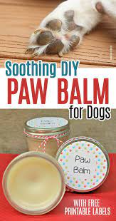 soothing diy paw balm for dogs with free printable labels dog paw balm homemade dog food paw balm