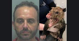 He lives in the breeze that goes through. Wkrg Deputies Florida Man Arrested For Setting Opossum On Fire